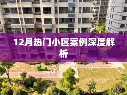 12月热门小区案例深度剖析