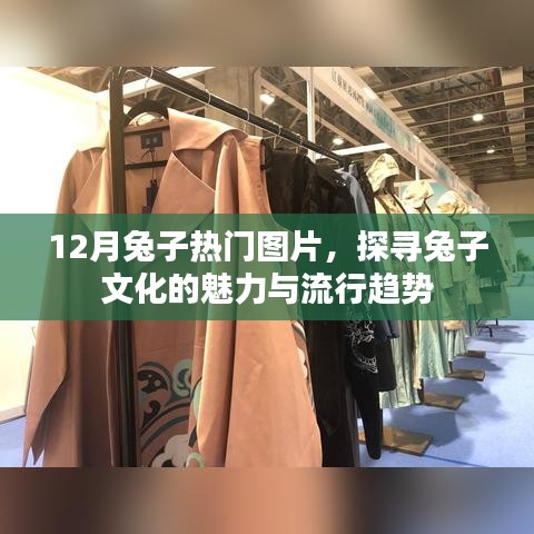 12月兔子热门图片盘点，探寻兔子文化的时尚魅力与流行趋势