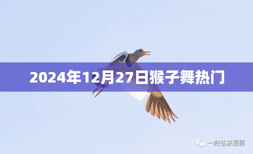 2024年猴子舞风潮，探秘热门背后的故事