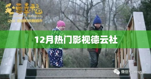 德云社12月热门影视盘点