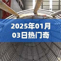 『2025年元旦后奇葩装修趋势大揭秘』