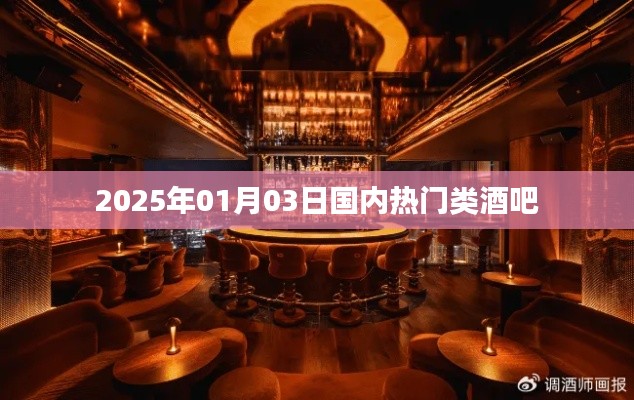 2025年元旦后国内热门酒吧概览，简洁明了，包含了时间和主题关键词，希望符合您的要求。