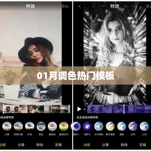 「调色热门模板大揭秘，一月精选」