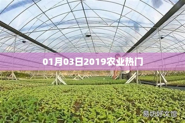 农业热门资讯速递，2019年1月3日动态更新