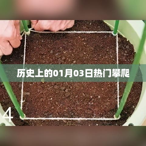 热门攀爬事件，历史上的一月三日回顾