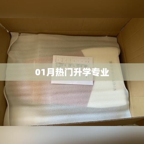 最新热门升学专业解析