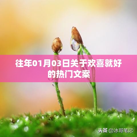 欢喜就好的热门文案回顾与分享