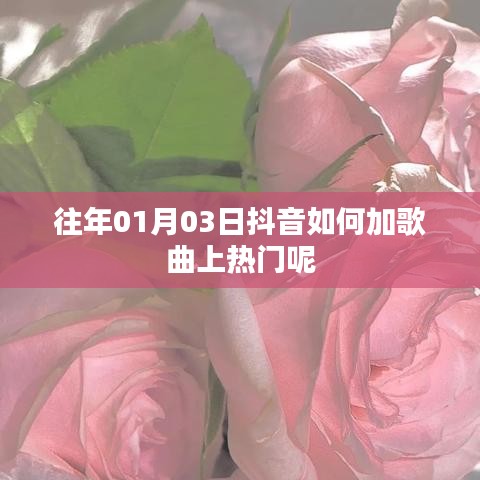 抖音歌曲上热门策略，添加与推荐技巧