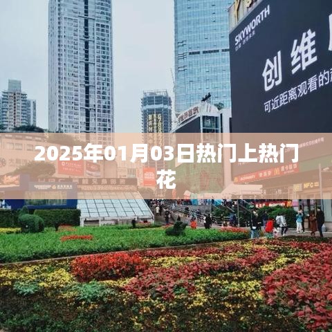 2025年元旦后热门花卉绽放，美丽瞬间不容错过！