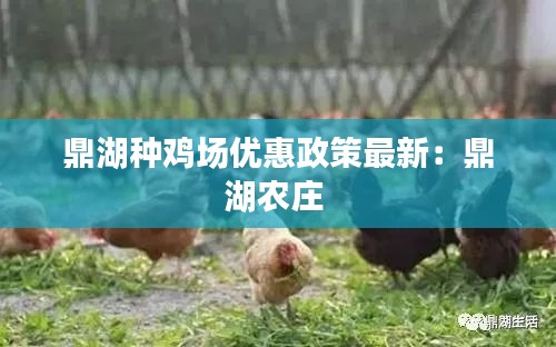 鼎湖种鸡场优惠政策最新：鼎湖农庄 