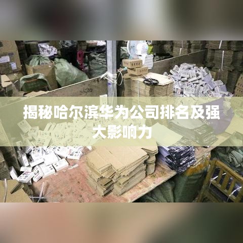 揭秘哈尔滨华为公司排名及强大影响力