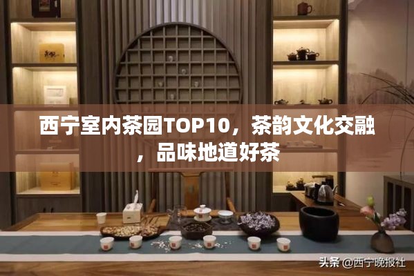 西宁室内茶园TOP10，茶韵文化交融，品味地道好茶