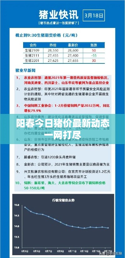 阳春今日猪价最新动态一网打尽