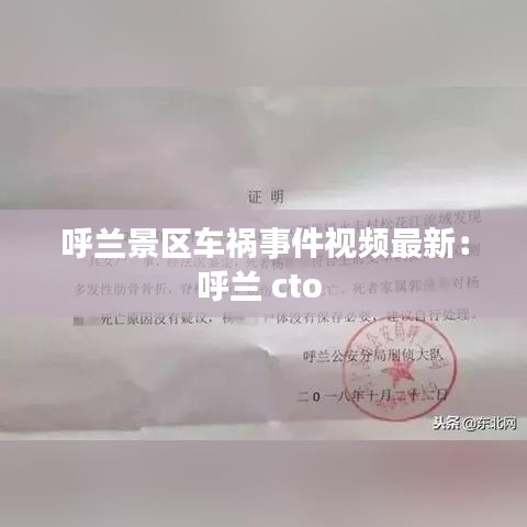 呼兰景区车祸事件视频最新：呼兰 cto 