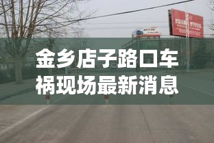 金乡店子路口车祸现场最新消息：山东省金乡县肖云镇店子村 