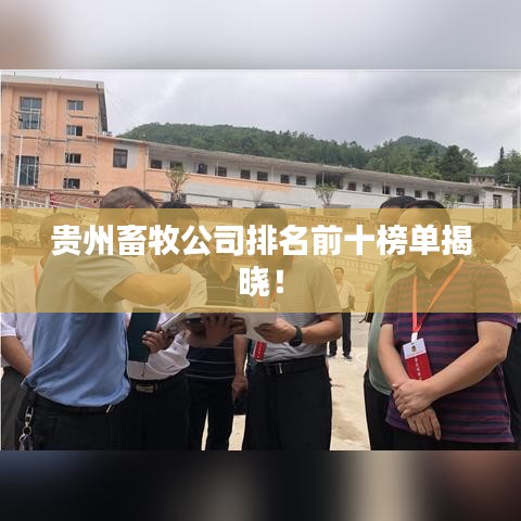 贵州畜牧公司排名前十榜单揭晓！