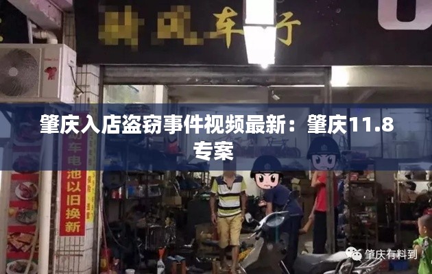 肇庆入店盗窃事件视频最新：肇庆11.8专案 