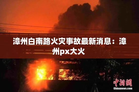 漳州白南路火灾事故最新消息：漳州px大火 