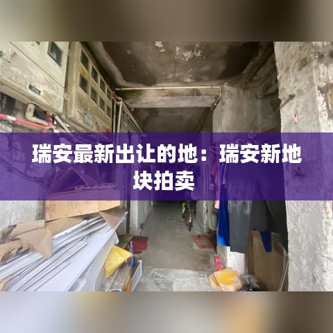 瑞安最新出让的地：瑞安新地块拍卖 