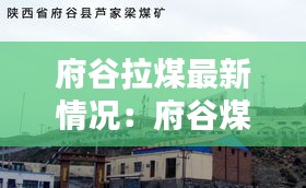 府谷拉煤最新情况：府谷煤矿在哪里 