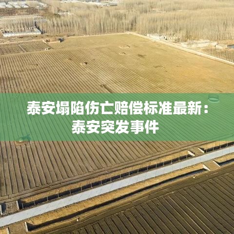 泰安塌陷伤亡赔偿标准最新：泰安突发事件 