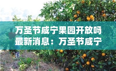 万圣节咸宁果园开放吗最新消息：万圣节咸宁果园开放吗最新消息视频 