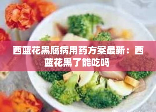 西蓝花黑腐病用药方案最新：西蓝花黑了能吃吗 