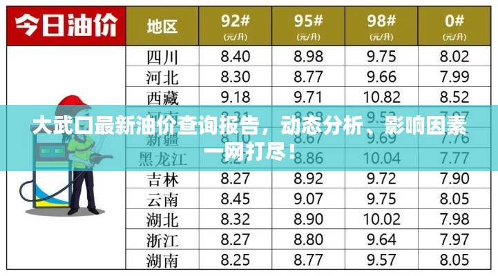 大武口最新油价查询报告，动态分析、影响因素一网打尽！