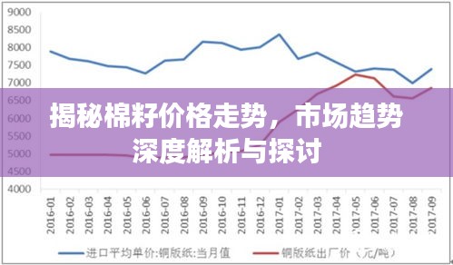 揭秘棉籽价格走势，市场趋势深度解析与探讨