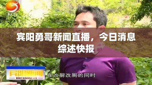 宾阳勇哥新闻直播，今日消息综述快报