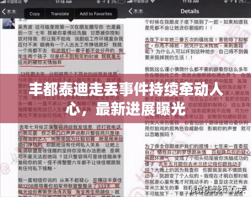 丰都泰迪走丢事件持续牵动人心，最新进展曝光