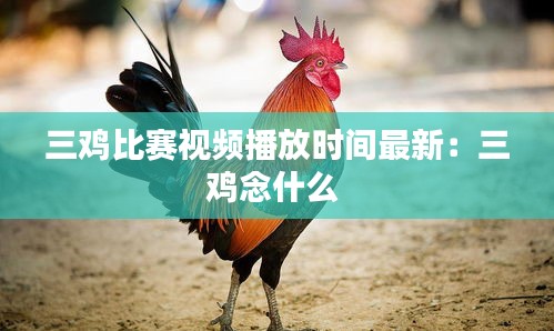 三鸡比赛视频播放时间最新：三鸡念什么 