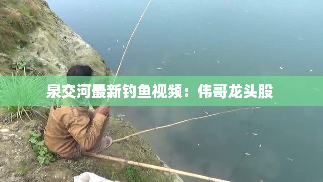 泉交河最新钓鱼视频：伟哥龙头股 