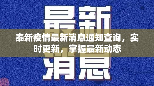 泰新疫情最新消息通知查询，实时更新，掌握最新动态