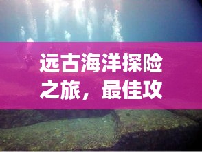 远古海洋探险之旅，最佳攻略全解析！