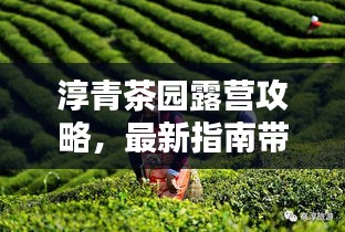 淳青茶园露营攻略，最新指南带你玩转露营体验