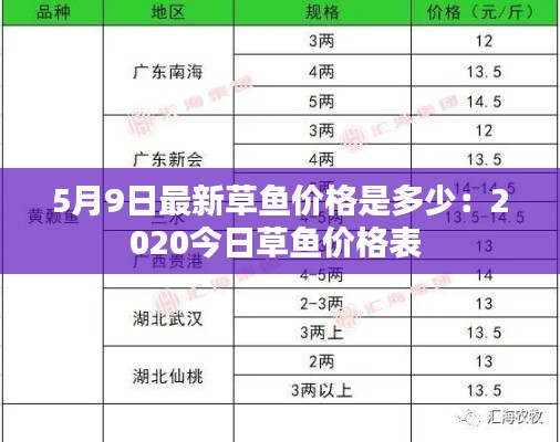 5月9日最新草鱼价格是多少：2020今日草鱼价格表 