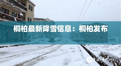 桐柏最新降雪信息：桐柏发布 