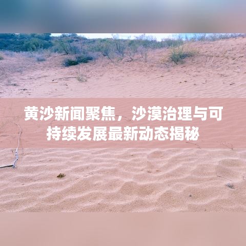 黄沙新闻聚焦，沙漠治理与可持续发展最新动态揭秘