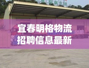 宜春明格物流招聘信息最新：宜春的有名物流公司 