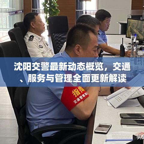 沈阳交警最新动态概览，交通、服务与管理全面更新解读