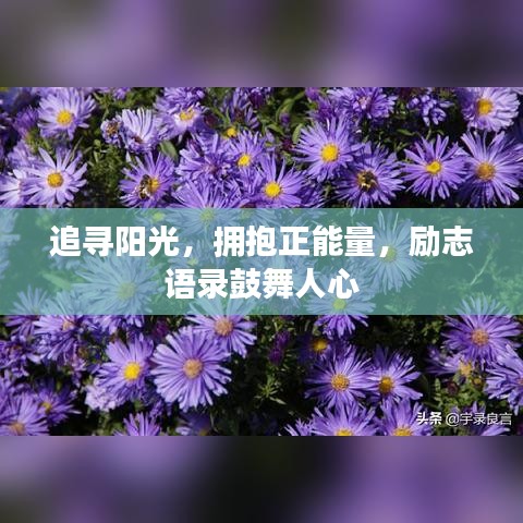 追寻阳光，拥抱正能量，励志语录鼓舞人心