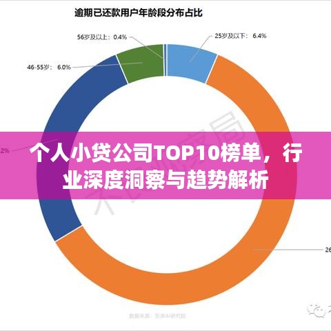 个人小贷公司TOP10榜单，行业深度洞察与趋势解析