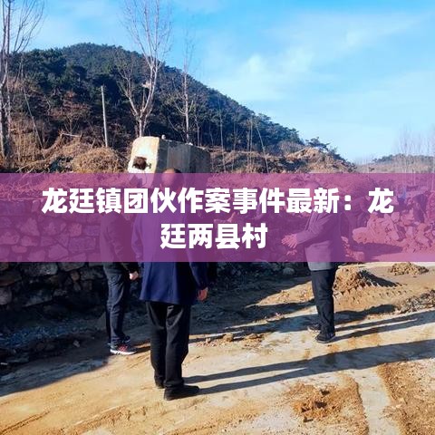 龙廷镇团伙作案事件最新：龙廷两县村 