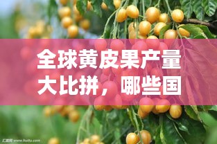 全球黄皮果产量大比拼，哪些国家独占鳌头？