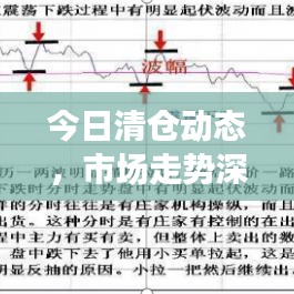 今日清仓动态，市场走势深度解读与应对策略速递