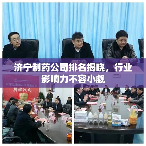 济宁制药公司排名揭晓，行业影响力不容小觑