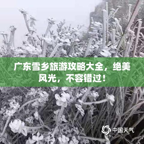 广东雪乡旅游攻略大全，绝美风光，不容错过！