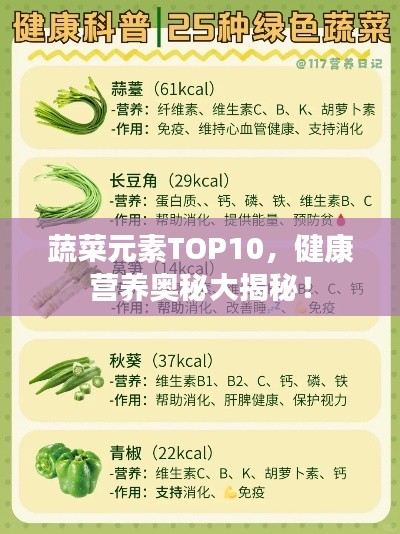 蔬菜元素TOP10，健康营养奥秘大揭秘！