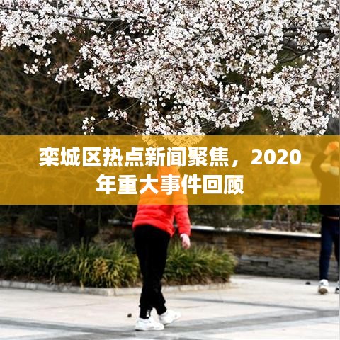 栾城区热点新闻聚焦，2020年重大事件回顾